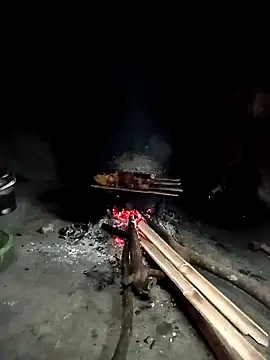 Hoa-tuylip online show from April 16, 2:34 am