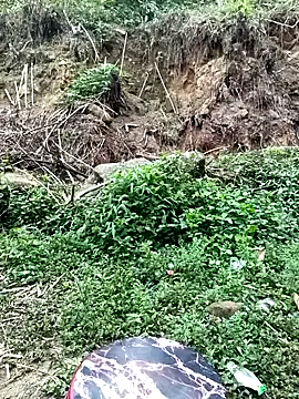 Hoa-tuylip online show from April 21, 1:29 am