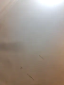 Cutytxx online show from February 10, 10:47 pm