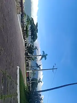 Gustavo52367 online show from February 20, 7:36 pm