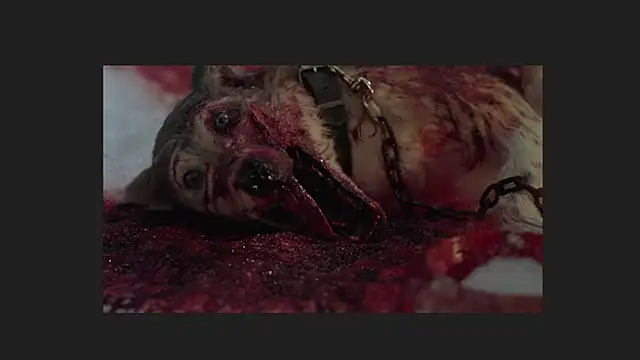 lil monikaa online show from April 12, 1:54 am