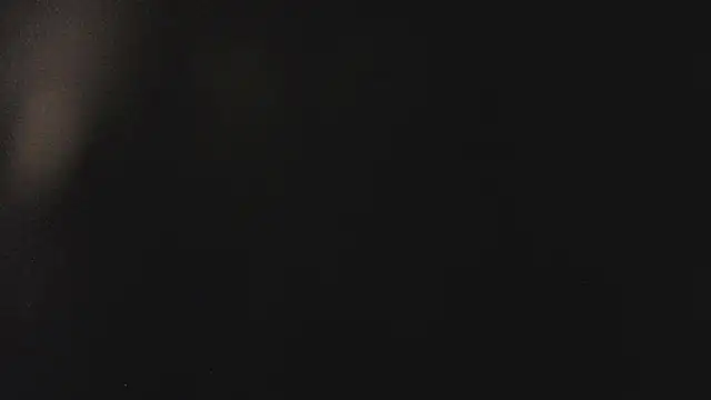 Snapshot of Fancy_Vixen chatting on February 27, 3:50 am Fancy Vixen online show from February 27, 3:50 am