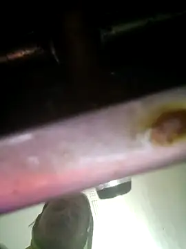 khushi rawat online show from February 12, 2:17 am