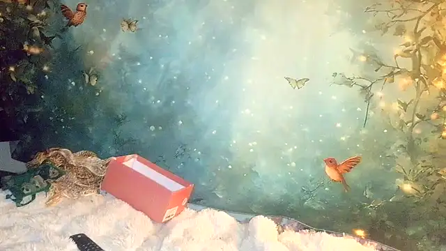 Blondie the librarian online show from April 21, 12:23 am