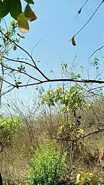 Krishna-10 online show from April 22, 4:59 am