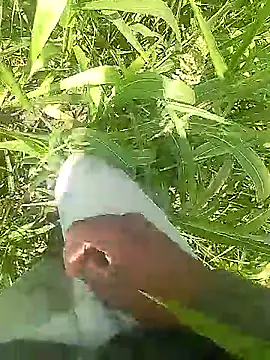 Cute Boy 4 online show from March 31, 6:03 am