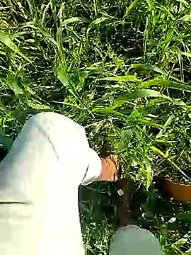 Cute Boy 4 online show from April 6, 2:53 am