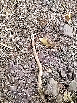 Cute Boy 4 online show from April 7, 7:31 am