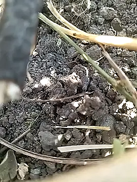 Cute Boy 4 online show from April 21, 7:36 am