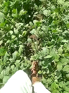 Cute Boy 4 online show from April 22, 4:37 am