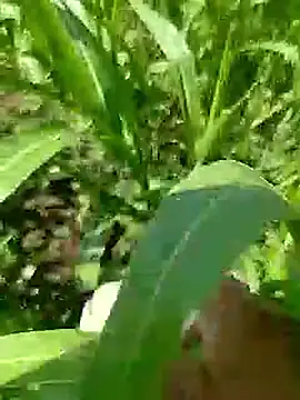 Cute Boy 4 online show from April 23, 5:19 am