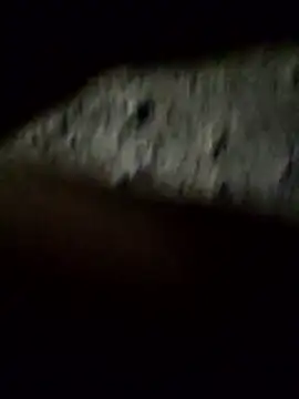 Snapshot of crazyxy12 chatting on February 8, 3:48 pm crazyxy12 online show from February 8, 3:48 pm