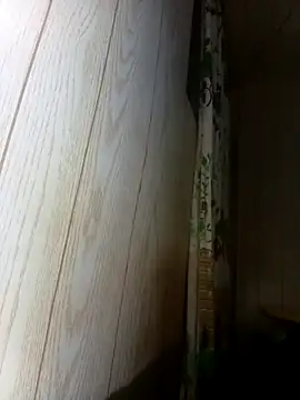 Prikev38452 online show from February 12, 7:36 am