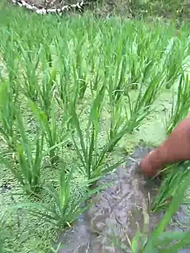 neyney110 online show from April 20, 11:50 pm