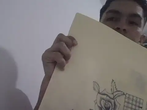 placerverdadero online show from February 11, 4:17 am