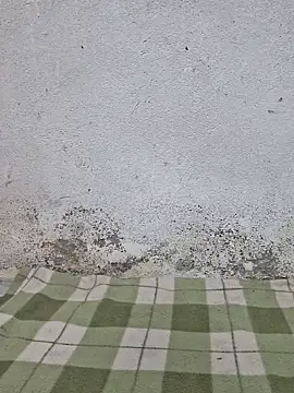 Mey mey2k3 online show from March 18, 4:48 am