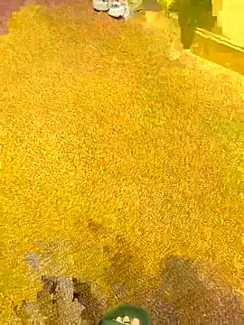 Snapshot of michaarMichaels chatting on April 5, 6:54 am michaarMichaels online show from April 5, 6:54 am