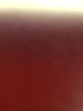 alex callmemaybe69 online show from February 16, 10:39 pm