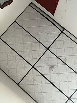 CarolineFyre online show from April 22, 11:45 am