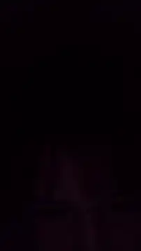 TululipuZ online show from February 28, 7:20 am