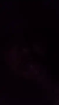 TululipuZ online show from March 29, 4:56 am