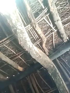 Manu mehta online show from March 31, 4:57 am