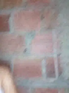 lachiki plus online show from March 24, 10:31 am