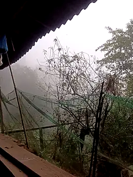 Anna 516 online show from March 6, 12:51 am