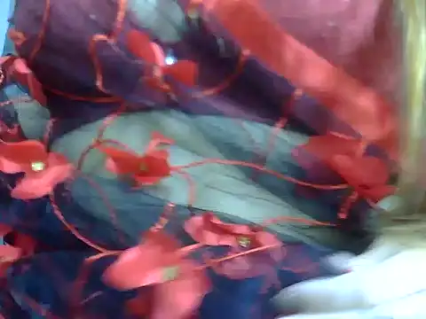 anvika 1709 online show from February 10, 4:33 pm