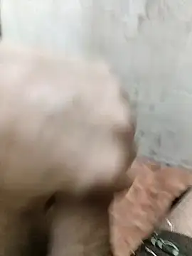 basyo2 online show from April 11, 11:36 am