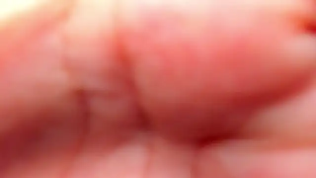 RinaFox   online show from February 21, 1:17 am