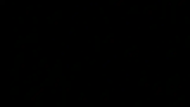 dixiedevin online show from April 22, 10:50 am