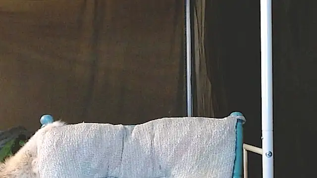 cguffey2284 online show from March 20, 10:03 pm