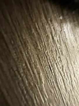 brayangz  online show from April 8, 12:43 am