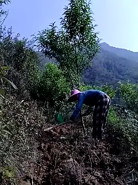 lovely-742 online show from April 21, 8:42 am