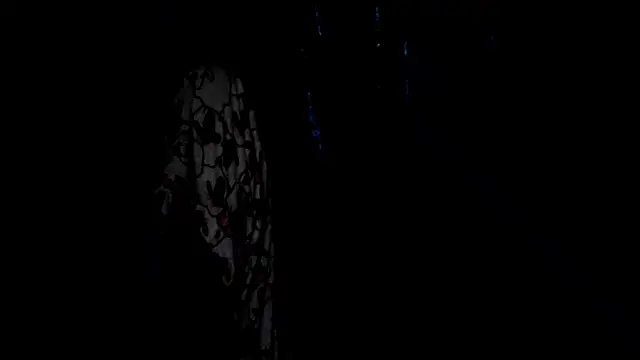 SassyXindian online show from April 21, 5:17 pm