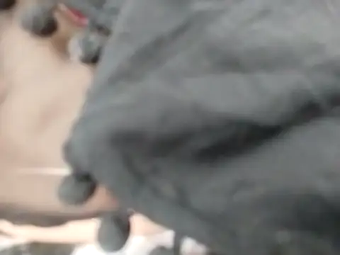 Snapshot of VeraVS chatting on February 20, 9:21 am VeraVS online show from February 20, 9:21 am