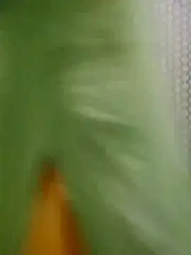 Jyoti hot online show from March 7, 4:42 am