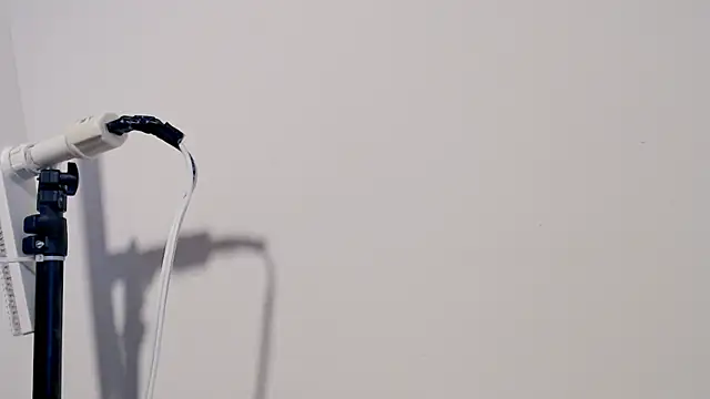 MARYXS1 online show from February 24, 12:58 pm