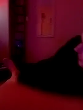 Snapshot of Filthyforall chatting on February 23, 5:49 am Filthyforall online show from February 23, 5:49 am