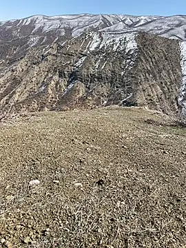 TurkeyMen online show from March 3, 10:10 am