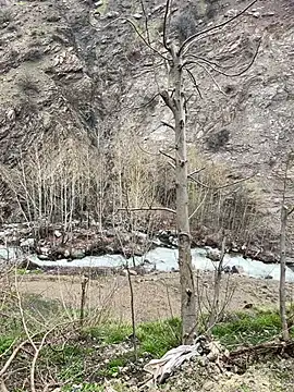 TurkeyMen online show from April 8, 9:09 am