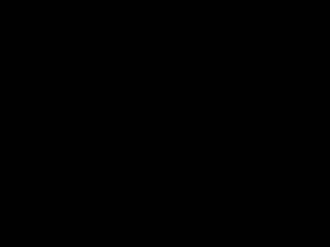 santiago and camila online show from March 12, 5:08 pm