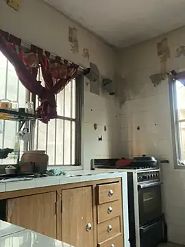 perritarebeldee online show from April 22, 10:50 am