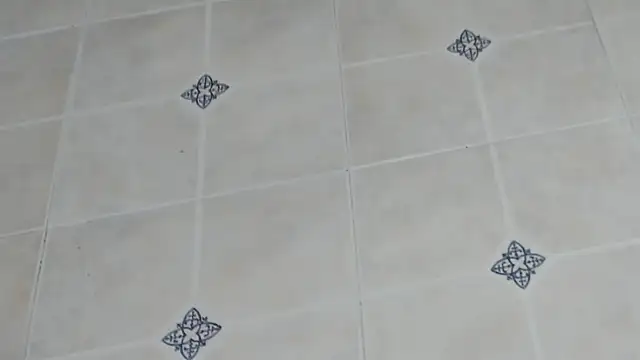 georginacouple hardsex online show from April 25, 3:09 pm