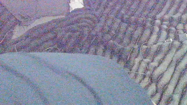 Snapshot of elong007 chatting on April 1, 3:53 pm elong007 online show from April 1, 3:53 pm