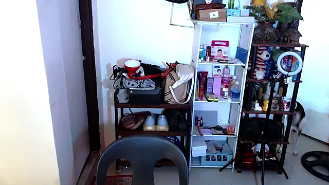 sweetasian zoe online show from April 17, 6:11 pm