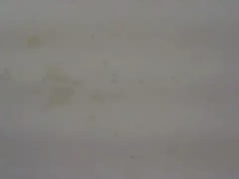 Snapshot of cute_momo_love chatting on May 29, 6:11 am cute momo love online show from May 29, 6:11 am