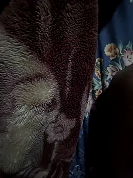 rmriya online show from February 27, 4:40 pm