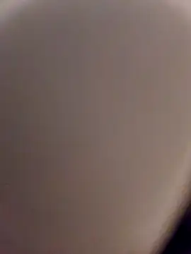 skynct2007 online show from February 24, 5:38 am